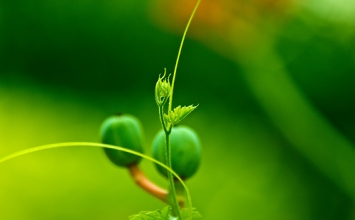Chừng ấy đủ rồi